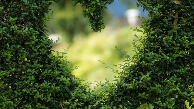 Романтическая музыка (romantic2)