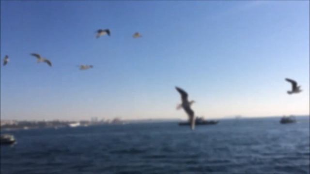 Gitme Sana Muhtacım (Zeki Müren, Selami Şahin) Cover by #pekimadem смотреть онлайн