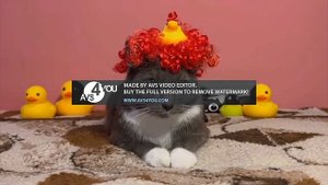 котинет новые приключения серия 15 в поиск утки часть 2 мультик для детей