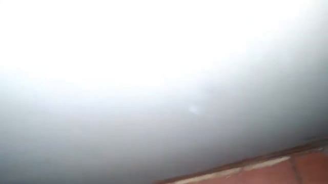 Я приехала домой к хомячкам. Лапочка родила 😻🐹🐹🐹🐹(один хомячков сбежал)😭😞