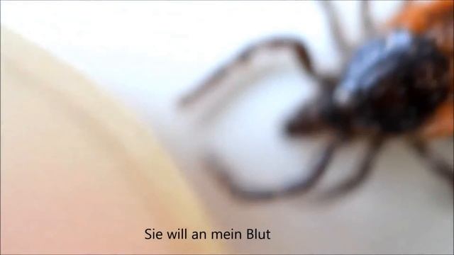 Tick attacks human finger смотреть онлайн