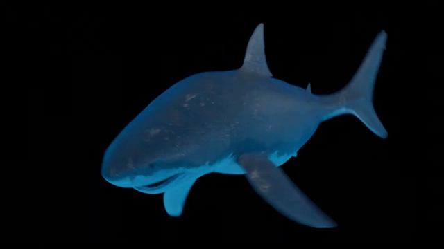 Shark VFX смотреть онлайн