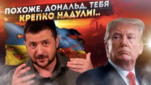 «Купили как ребенка»: на чем Зеленский Трампа «развел»