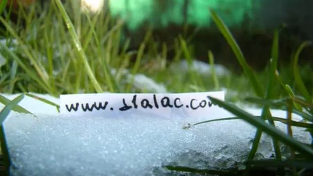 Чеченские женщины смотреть онлайн