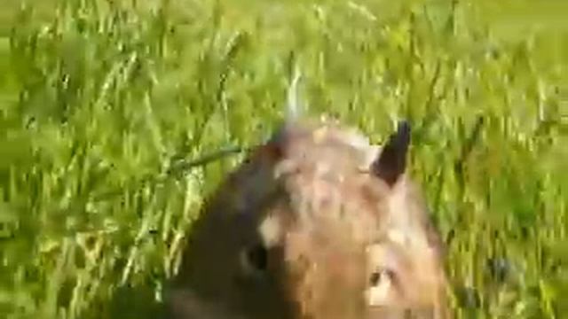на свободе!!!!!!!