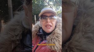 Шок новости Европы