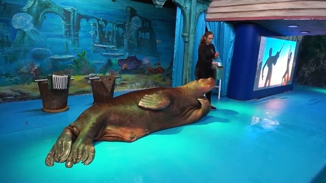 Выступление Потапа