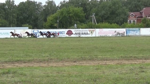 19. 08. 2020 Заезд №5 (84). Приз "Пиона" I ГИТ смотреть онлайн