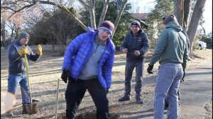 Что можно выкопать у себя на участке в США. Один субботний день из жизни в Пенсильвании