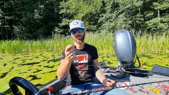 Catfish fishing with Mikado equipment смотреть онлайн