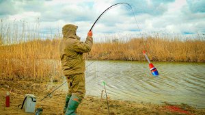 ПОД КАМЫШОМ КЛАДУТ ПОПЛАВОК! ВСЯ РЫБА СОБРАЛАСЬ В ЭТОЙ ЯМКЕ! РЫБАЛКА НА ПОПЛАВОК!
