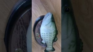 Говорящий карп