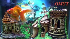 166. ДЕНЕЖНЫЙ ОБРЯД НА ПАСХУ...И Ваши Комменты ДРУЗЬЯ.