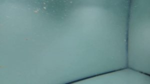 Тест системы фильтрации, Самп для дискусов.