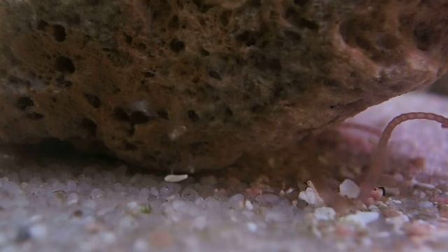 PA010051 смотреть онлайн