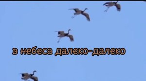 Посмотри на стаи журавлей.  группа Авен-Езер. Плюс.  #христианскиепесни