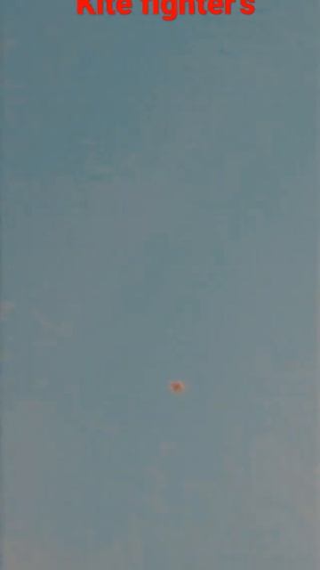 Pro kite fighter | kite flying #shorts #kite #viral #sidhu #ytshorts @BIRRAMGARHIA #trend #patang смотреть онлайн