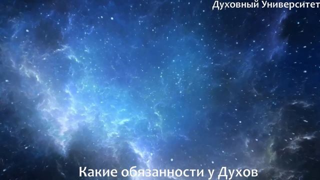 Какие обязанности у Духов