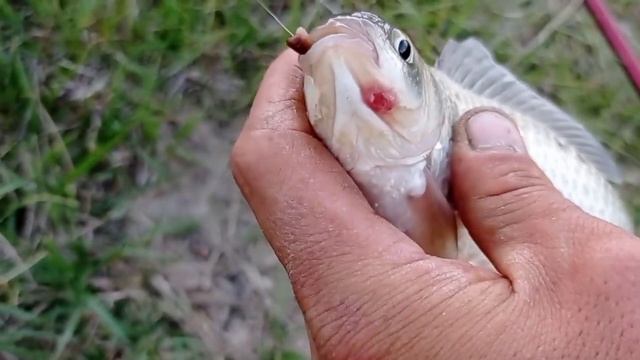 Рыбалка Балик ови. смотреть онлайн