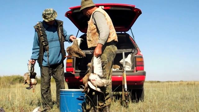 Охота на уток на сокуре 2011 смотреть онлайн