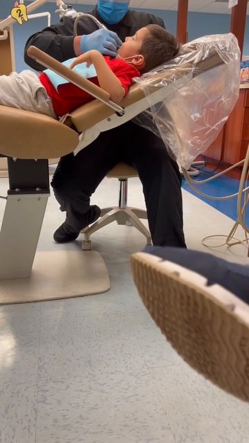 Zander first dentist visit смотреть онлайн