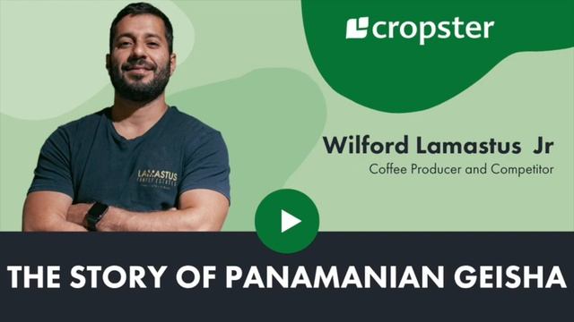 Coffee & Technology Podcast - Episode 35: Wilford Lamastus Jr смотреть онлайн