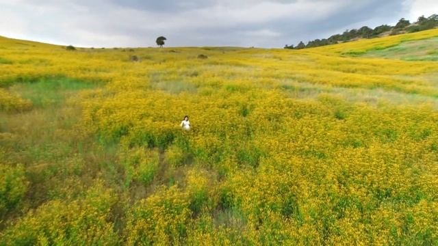 Shirin Mamatova Pariro’yim смотреть онлайн