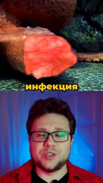 Чудо-осьминог🐙 #знания #наука #образование #биология #животные смотреть онлайн