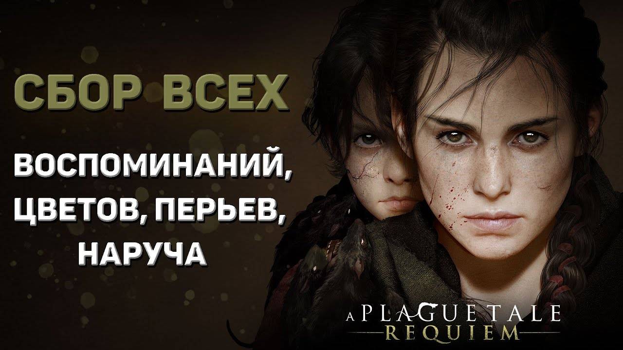 A PLAGUE TALE REQUIEM ВСЕ КОЛЛЕКЦИОННЫЕ ПРЕДМЕТЫ (Воспоминания, цветы, перья, наруч)