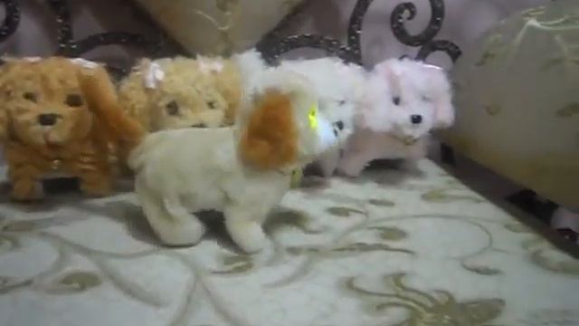 SAM 0432 смотреть онлайн