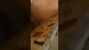 охота на крыс                                                    2 серия