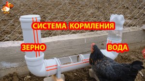 Кормушка и поилка из труб ПВХ для кур несушек во двор 💦🐓❣️
