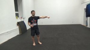 Kizami tsuki (Okinawa kenpo karate/shotokan) Ueda Masaru sensei.