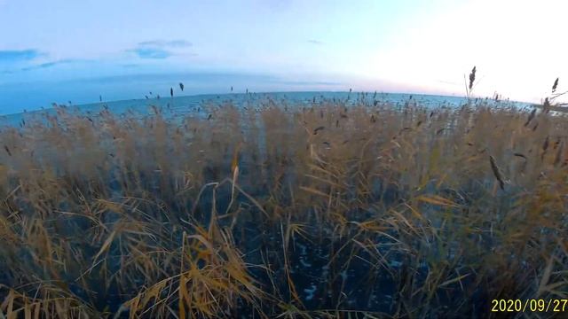 Осеняя охота на уток 2020 смотреть онлайн