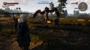 ВЕДЬМАК 3: КОРОЛЕВСКИЙ ГРИФОН