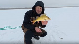 Чуть не уехал раньше, чем начался клёв! Рыбалка на Сугояке 06.02.25