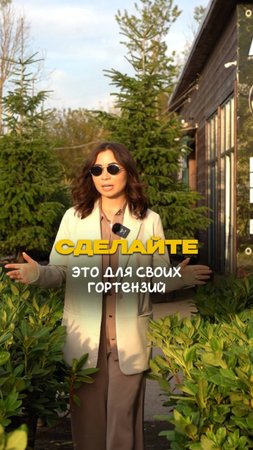 🌸 Гортензии ЭТО обожают!