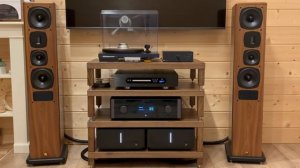 Как звучат кабели: Purist Audio Design Musaeus BiWire Diamond Revision 2.0m ban-ban