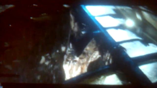 Блю vs индораптора продолжение смотреть онлайн