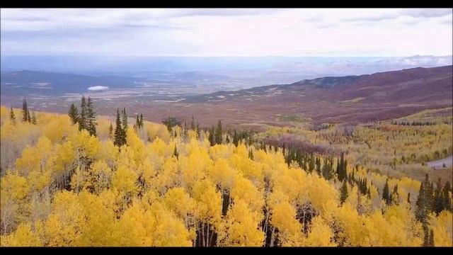 История России. Акунин. Часть Азии. 3. Случайность или Неизбежность. 4. Другие Князья