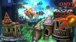 252. ПОМОЛОДЕЕМ НА 10 ЛЕТ И ВАШИ КОММЕНТЫ РОДНЫЕ...