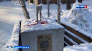 В Кирове ищут вандалов, сломавших «Кикимору» в Гагаринском парке