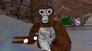 Gorilla Tag_2025-02-07_09-32-40