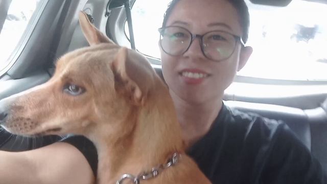 I have completed 500 and Tara got her first vaccine ❤️!!just sudha❤️ смотреть онлайн