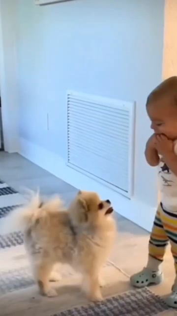 so funny 🤣😂 #music #cat #kitten #trend смотреть онлайн