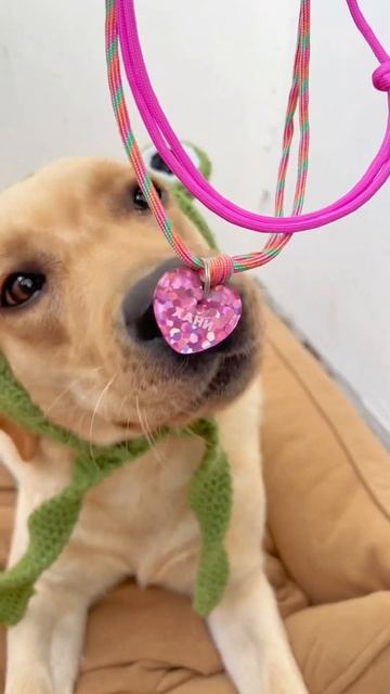 18 июня 2023 г. смотреть онлайн