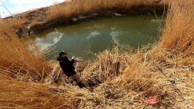 МАШИНА КЕБІРГЕ БАТЫП ҚАЛДЫ. КАРАСЬТАР АУЛАДЫҚ. ҮЙРЕКТЕН СОРПА.