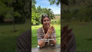 Тур в ЮАР с Марией Гладких и Action Vacation