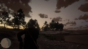 Маленькая бурая ночница (little brown moth) Red Dead Redemption 2