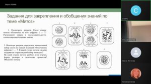 Андрееску И.В. гимназия №1 биология "Хромосомный набор клеток. Жизненный цикл клеток. Митоз и мейоз"